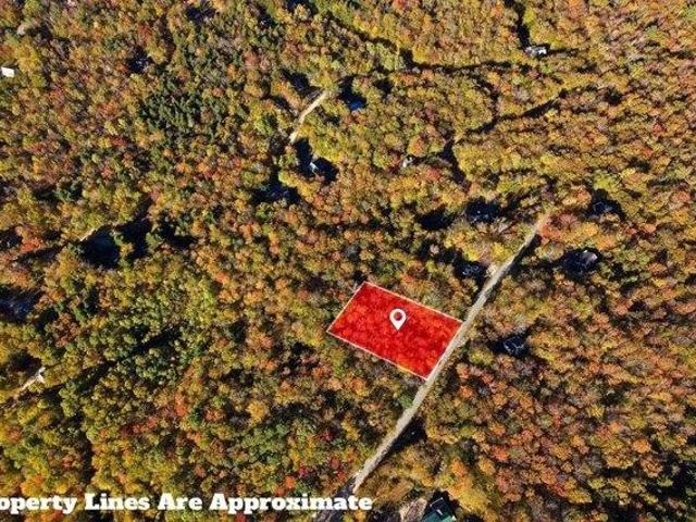 Land for sale in New Hampshire