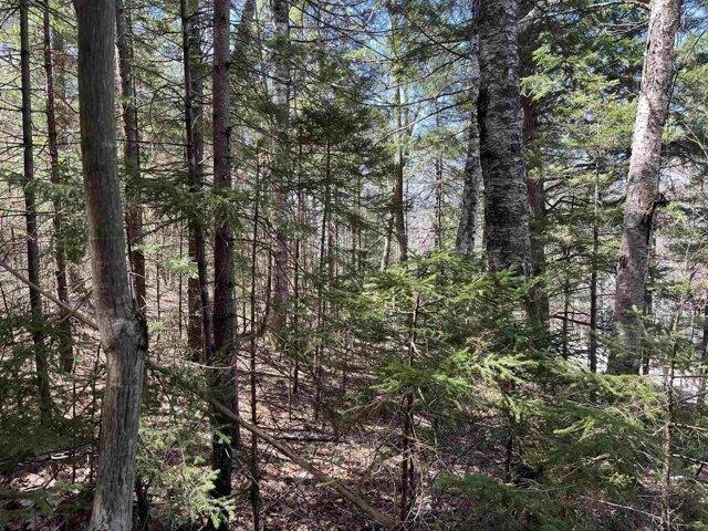 Land for sale in New Hampshire
