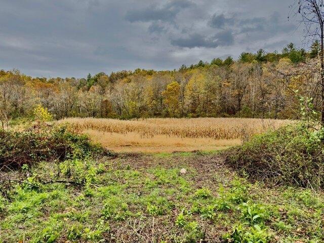 Land for sale in Virginia