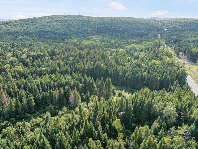 Land for sale in Canaan, Essex County