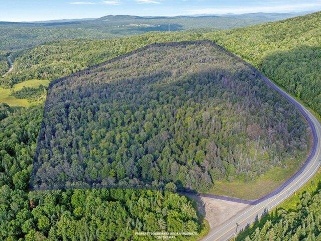 Land for sale in Wallace Pond, Canaan