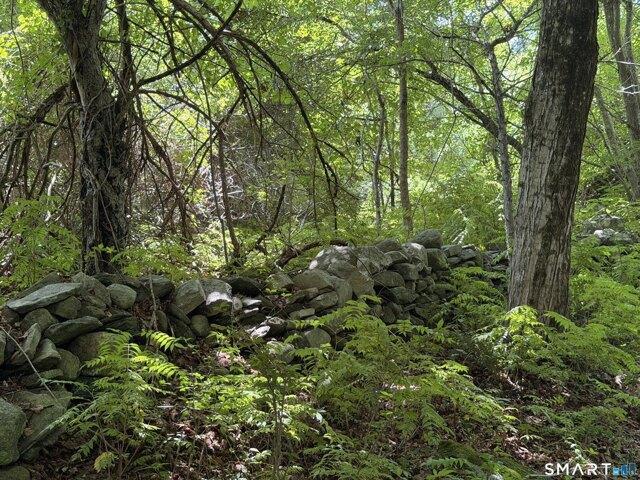 Land for sale in Canterbury, Northeastern Connecticut Planning Region