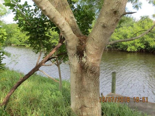 Land for sale in Cape Coral, Florida