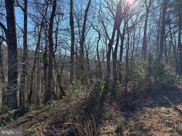 Land for sale in Capon Bridge, West Virginia