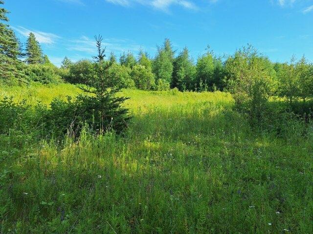 Land for sale in Caribou, Maine