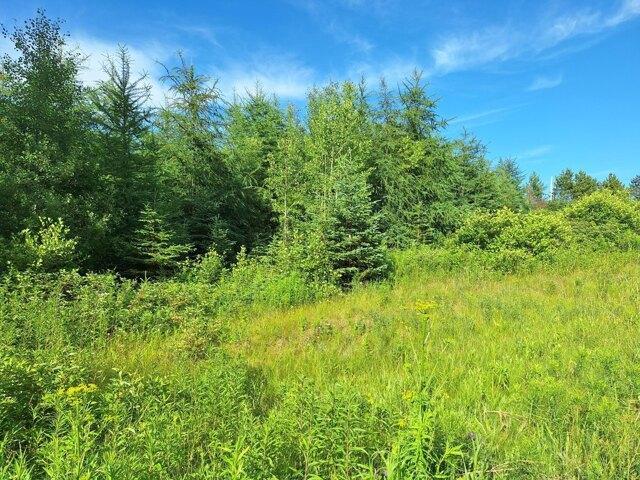 Land for sale in Caribou, Maine