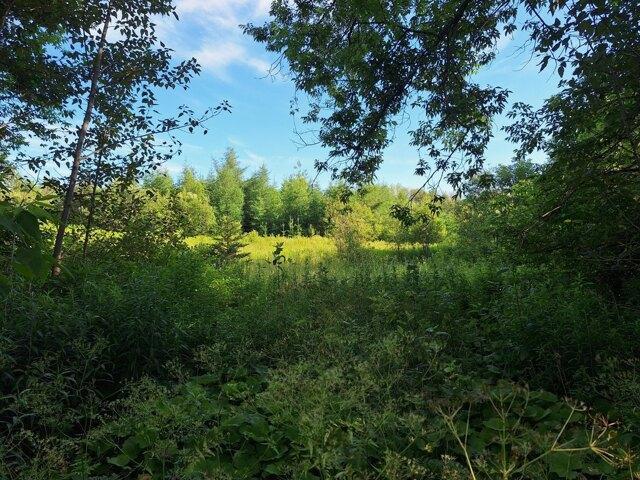 Land for sale in Caribou, Maine