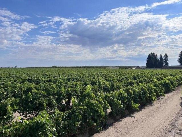 Land for sale in Caruthers