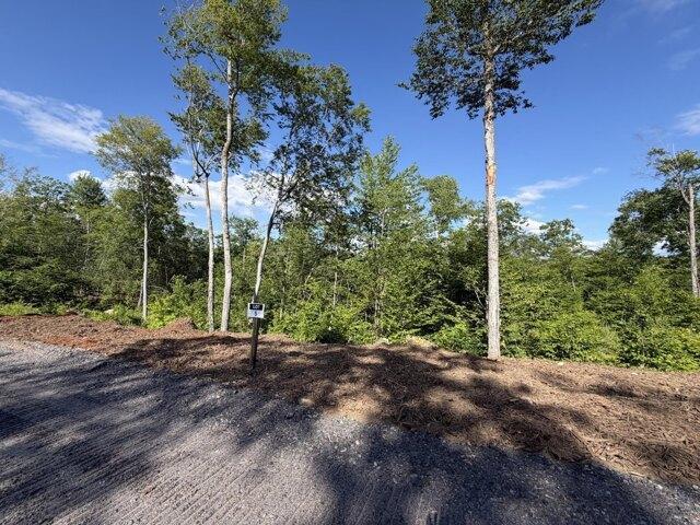 Land for sale in Casco, Maine