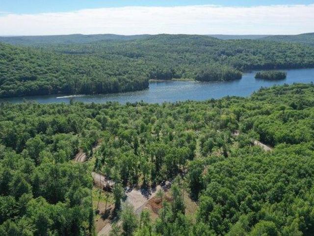 Land for sale in Casco, Maine