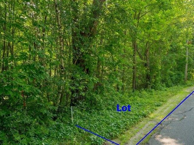 Land for sale in Casco, Maine