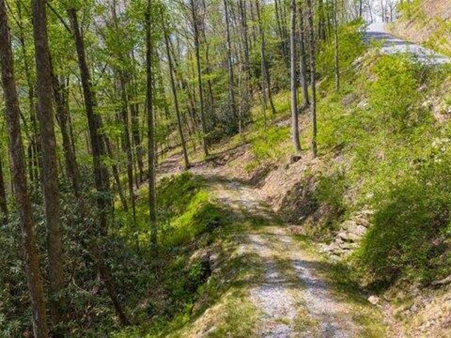 Land for sale in North Carolina