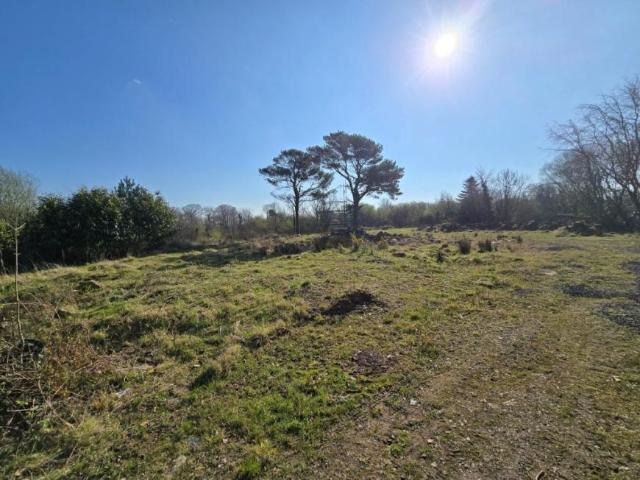 Land for sale in Northern Ireland