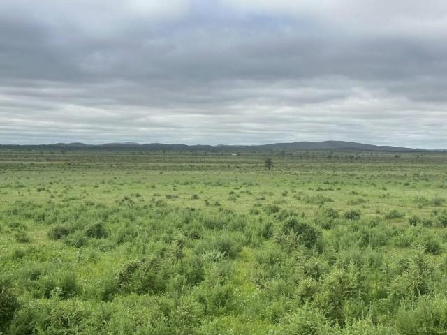 Land for sale in Cavenagh, South Australia