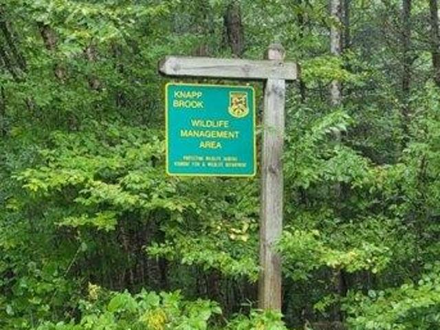 Land for sale in Cavendish, Vermont