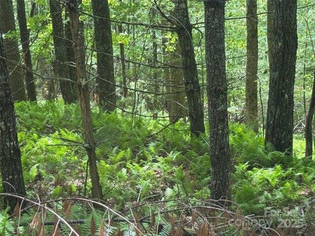 Land for sale in Cedar Mountain, North Carolina