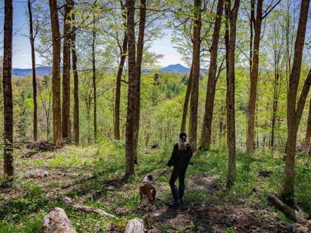 Land for sale in North Ferrisburg, Vermont