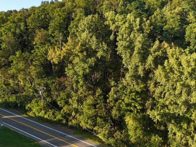 Land for sale in Chenango Forks, Broome County