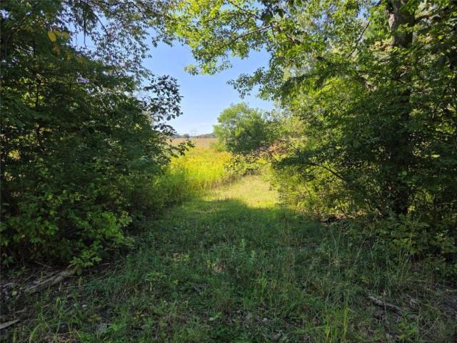Land for sale in New York