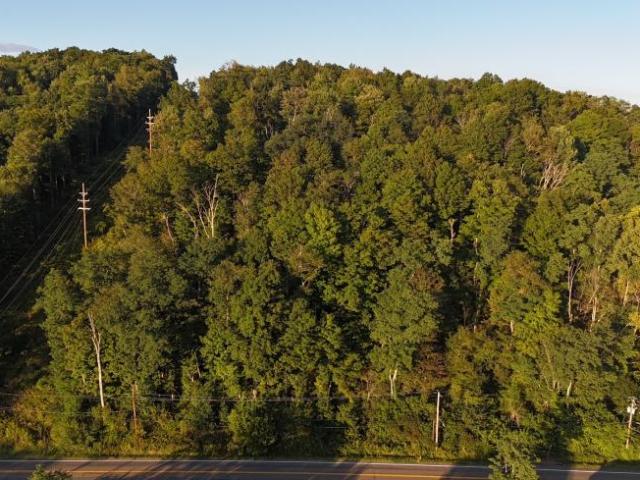 Land for sale in Chenango Forks, Broome County