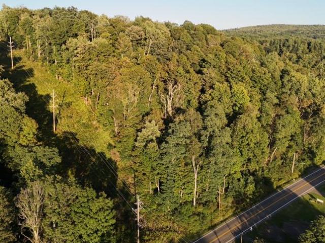 Land for sale in Chenango Forks, Broome County