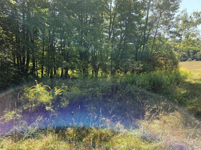 Land for sale in New York