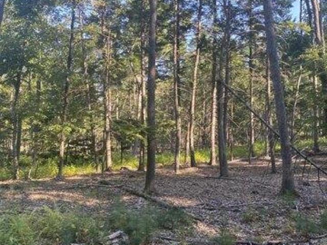 Land for sale in New Hampshire