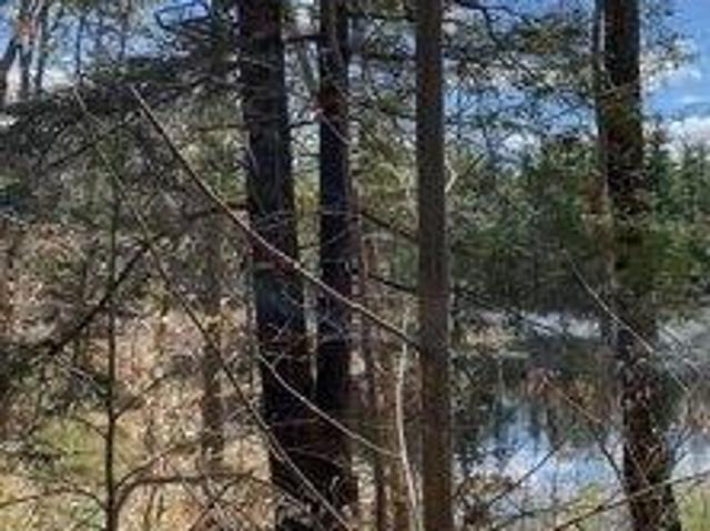 Land for sale in New Hampshire