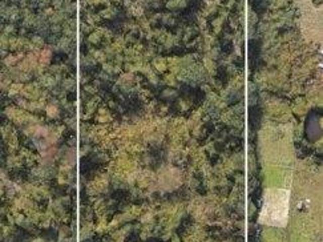 Land for sale in New Hampshire