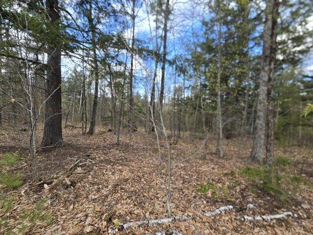 Land for sale in Chester, Vermont