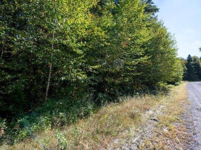Land for sale in Chester, Vermont