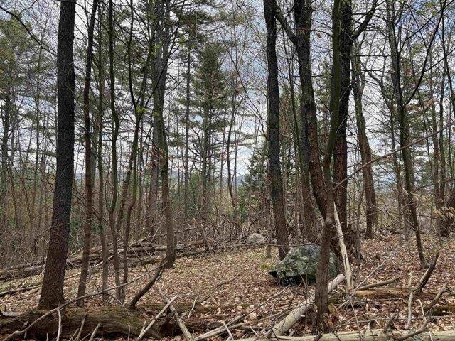 Land for sale in Chester, Vermont