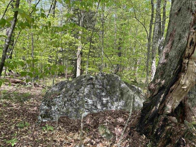 Land for sale in Chester, Vermont
