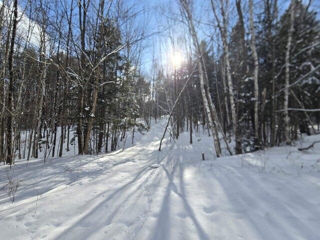 Land for sale in Chester, Windsor County