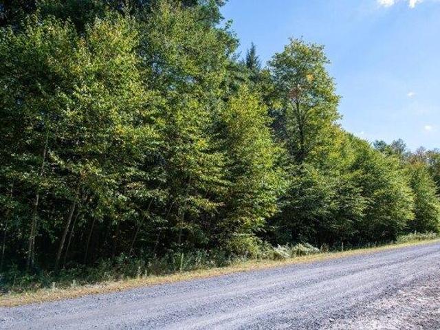 Land for sale in Chester, Vermont