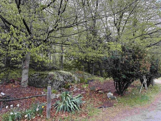 Land for sale in Chester, Windsor County