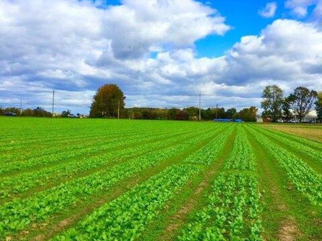 Land for sale in New Jersey