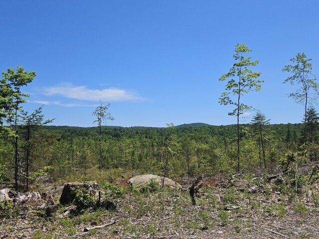 Land for sale in Chesterville, Maine