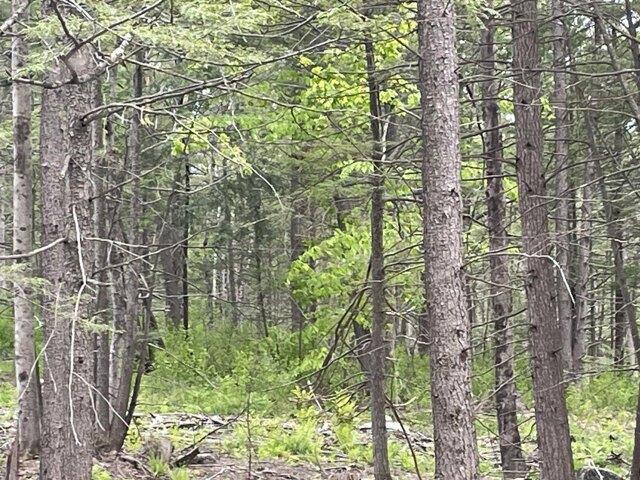 Land for sale in Chesterville, Maine