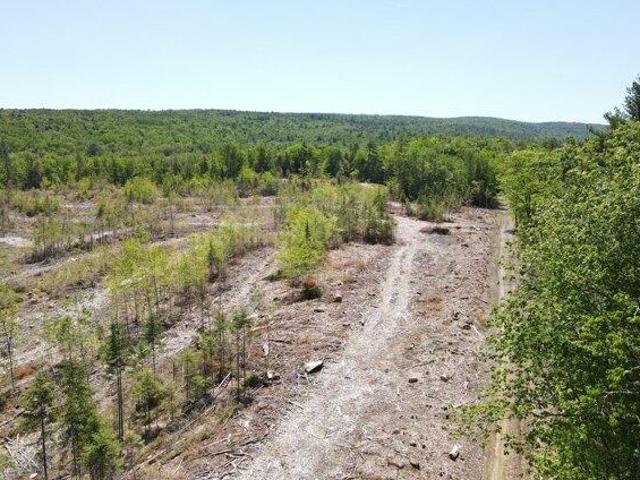 Land for sale in Chesterville, Maine