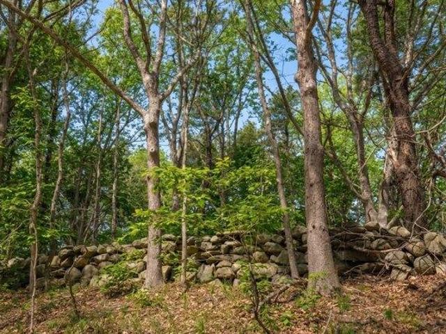 Land for sale in Chilmark, Massachusetts