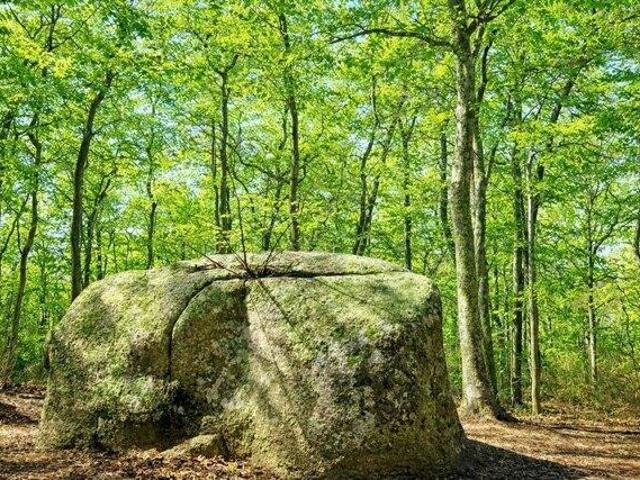 Land for sale in Chilmark, Massachusetts