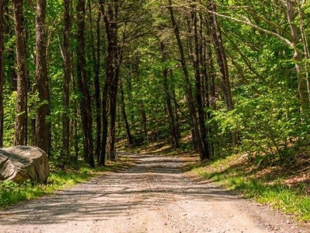 Land for sale in Chilmark, Massachusetts