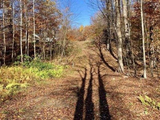 Land for sale in Chittenden, Vermont