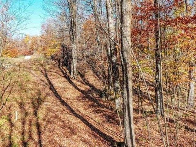 Land for sale in Chittenden, Vermont