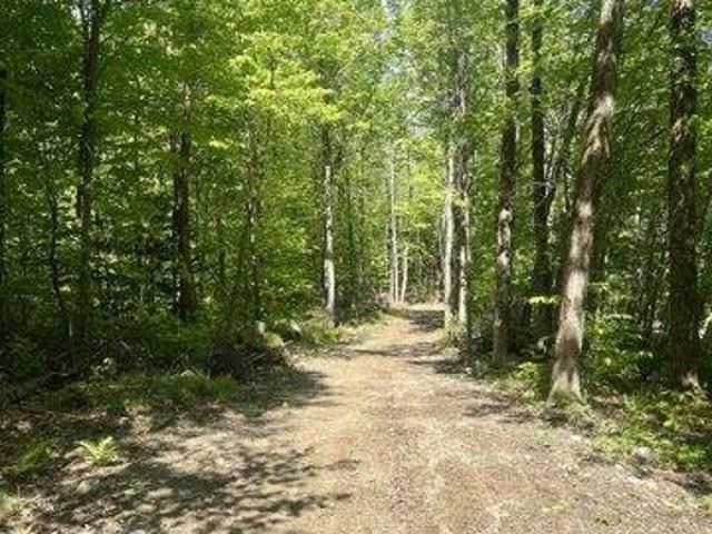 Land for sale in North Chittenden, Chittenden