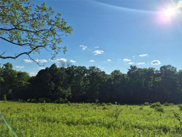 Land for sale in Cortland, New York