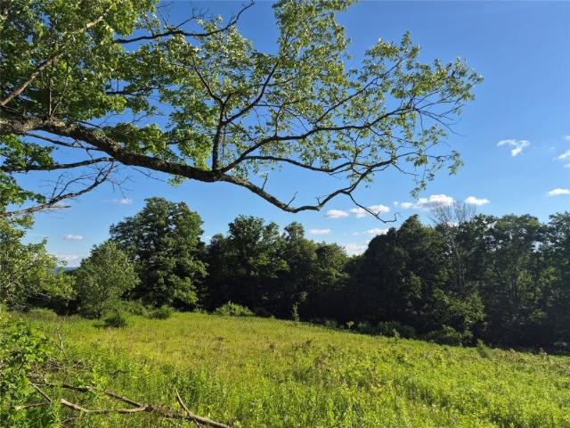 Land for sale in Cortland, New York