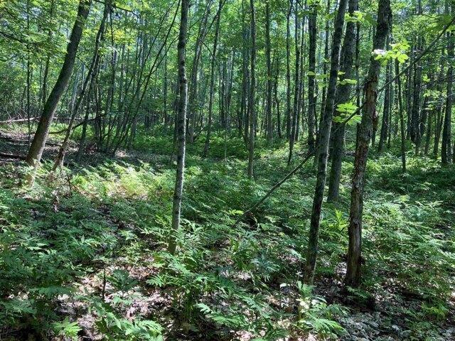 Land for sale in New Hampshire