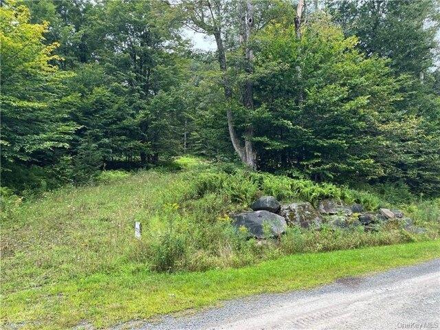 Land for sale in Claryville, New York
